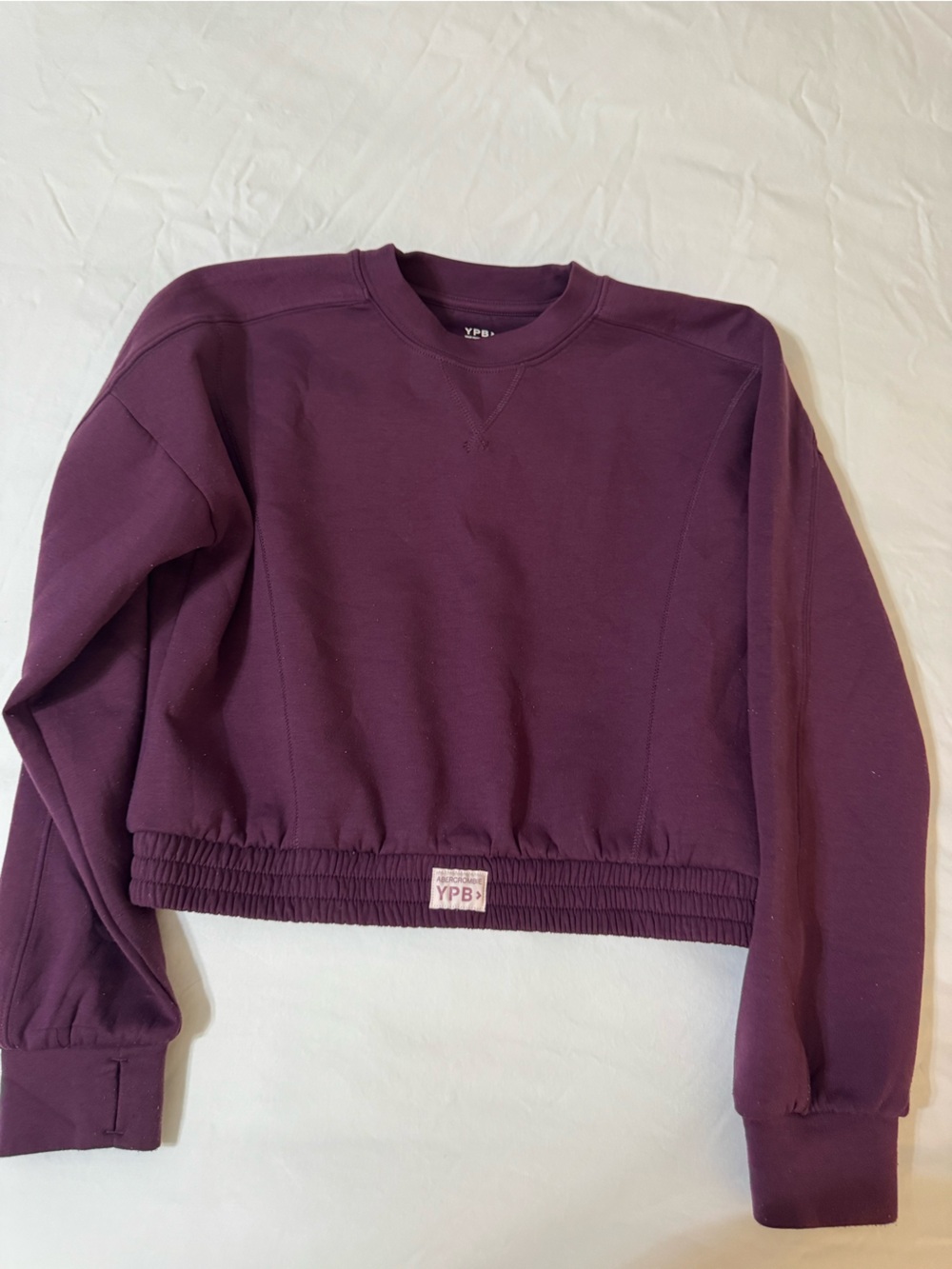 abercrombie kids Plum Cropped Sweatshirt